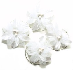 Zeige Details für Curlies Braut Blüte weiß Bild von Curlies Braut Blüte weiß