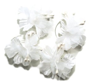 Bild von Curlies Hochzeit Blüte weiß