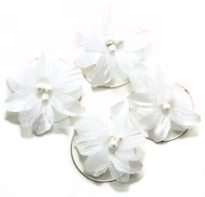 Bild von Curlies Braut Blüte weiß